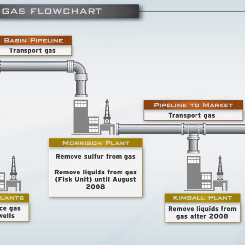 Gas Flowchart