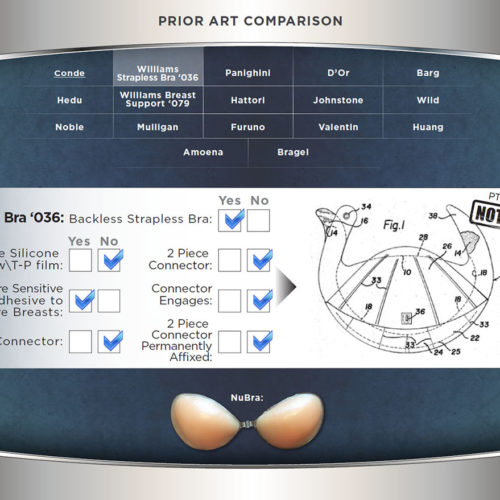 Prior Art Comparison